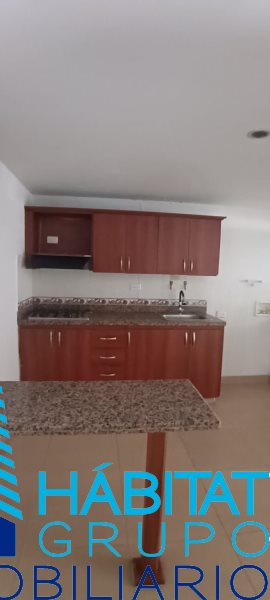 Apartamento en Arriendo en Parque